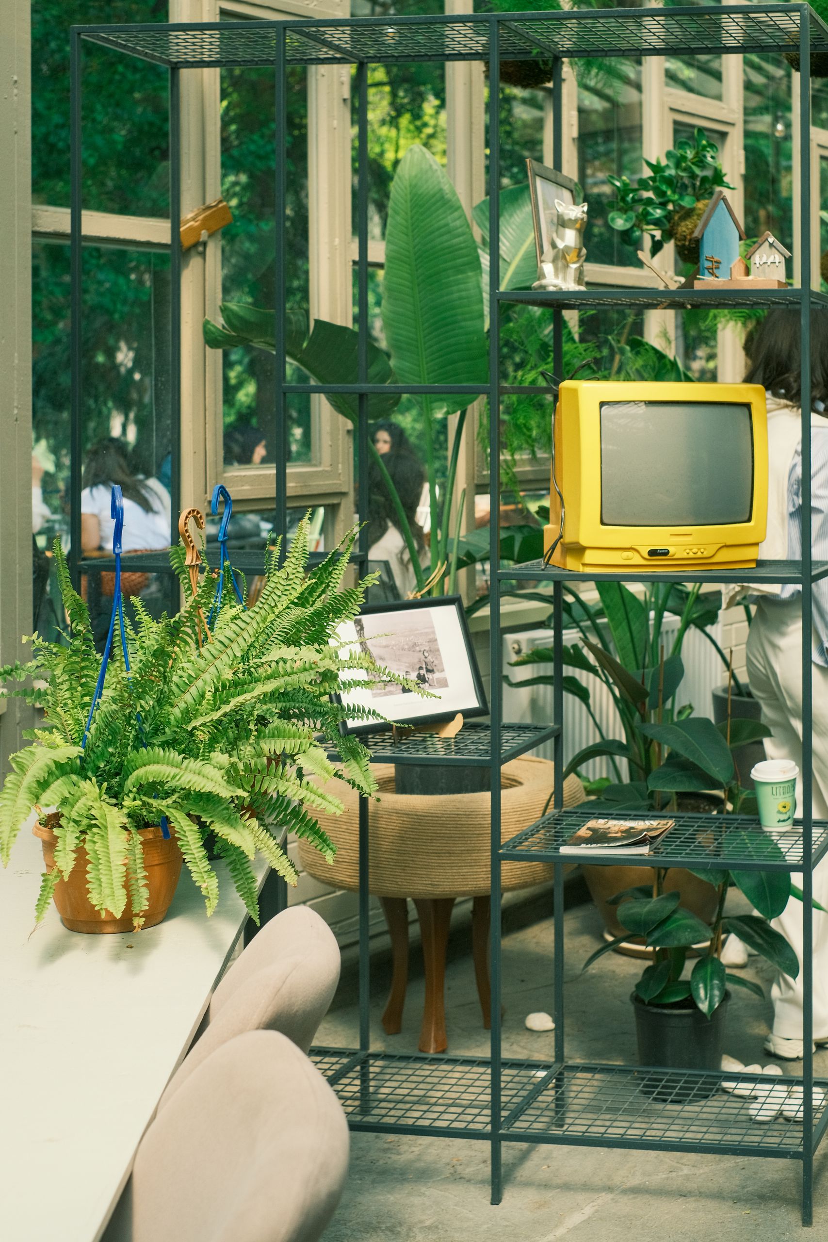 A retro indoor space featuring plants and a vintage yellow TV for a nostalgic vibe.